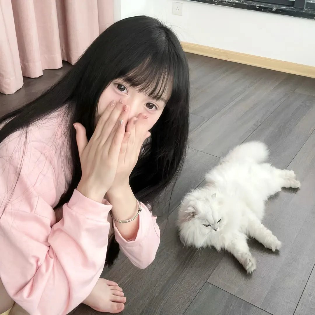 黑执事:豪华客船篇